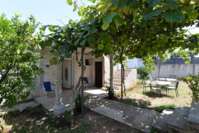 Apartment Adrijano 2179